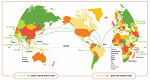 cashew-world-map